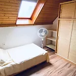 Cili's Balaton * 본보야크바세기